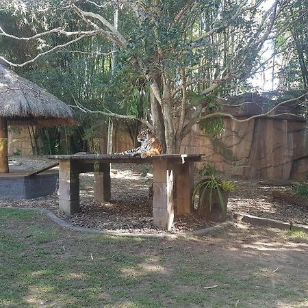 Beerwah House Villa ภายนอก รูปภาพ