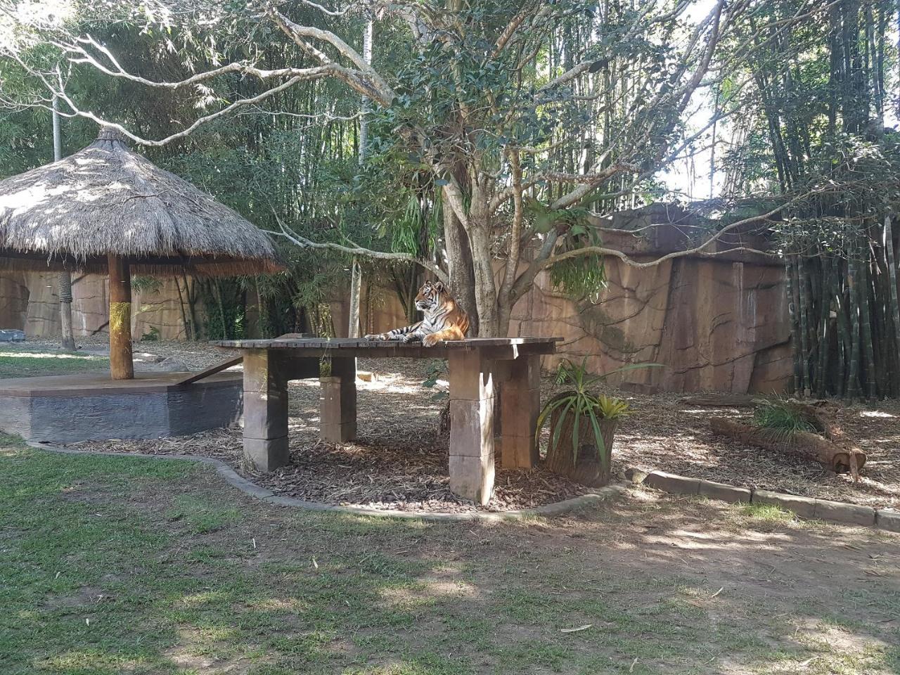 Beerwah House Villa ภายนอก รูปภาพ